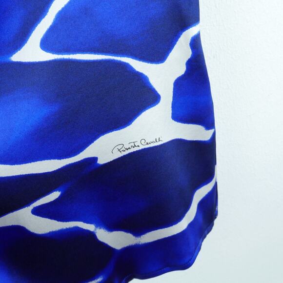 Roberto Cavalli 48 Blouse 100% Silk Blue Print Statement Sleeve Luxury Elegant - Picture 5 of 12